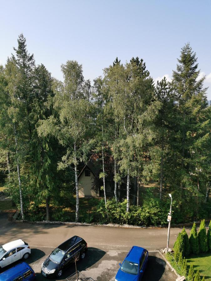 Apartman Stefanovic Vila Darija Lux Zlatibor Exterior photo